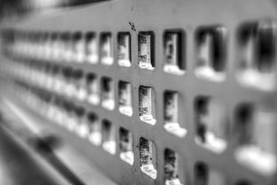 九游登录入口-高校运动训练科学管理模式创新实践，运动训练科研管理工作要求