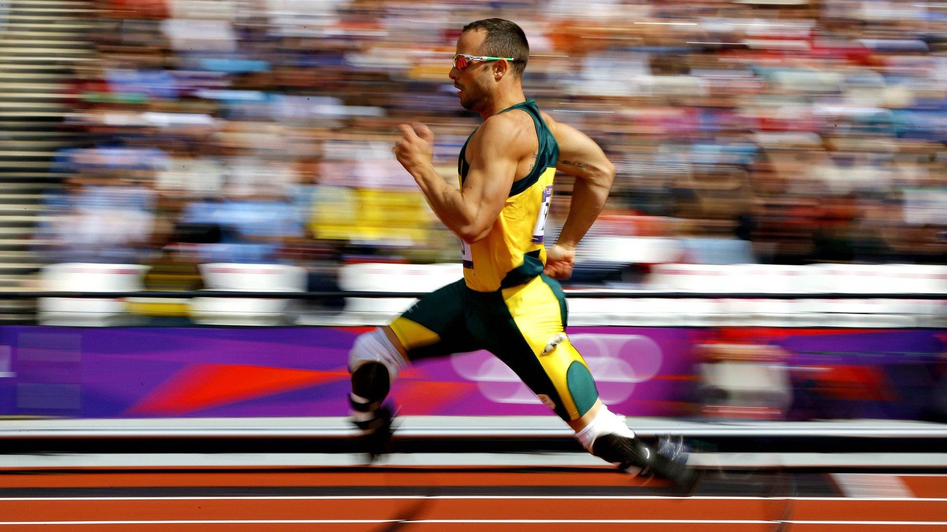 体育新闻中心主办体育文化数字创新成果展示会,体育 数字化