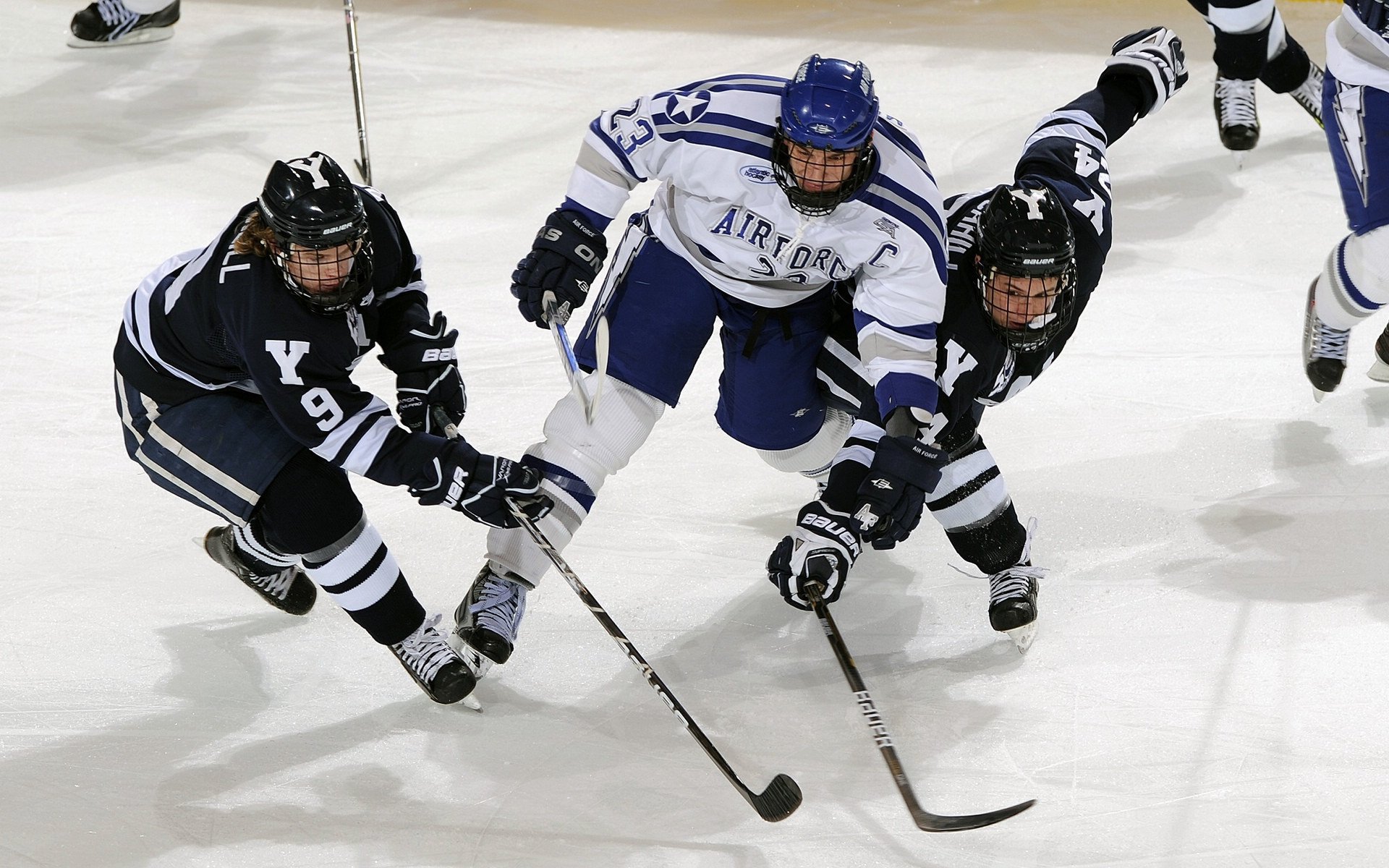 运动康复科普讲座走进社区和学校，运动康复科普讲座走进社区和学校的感受