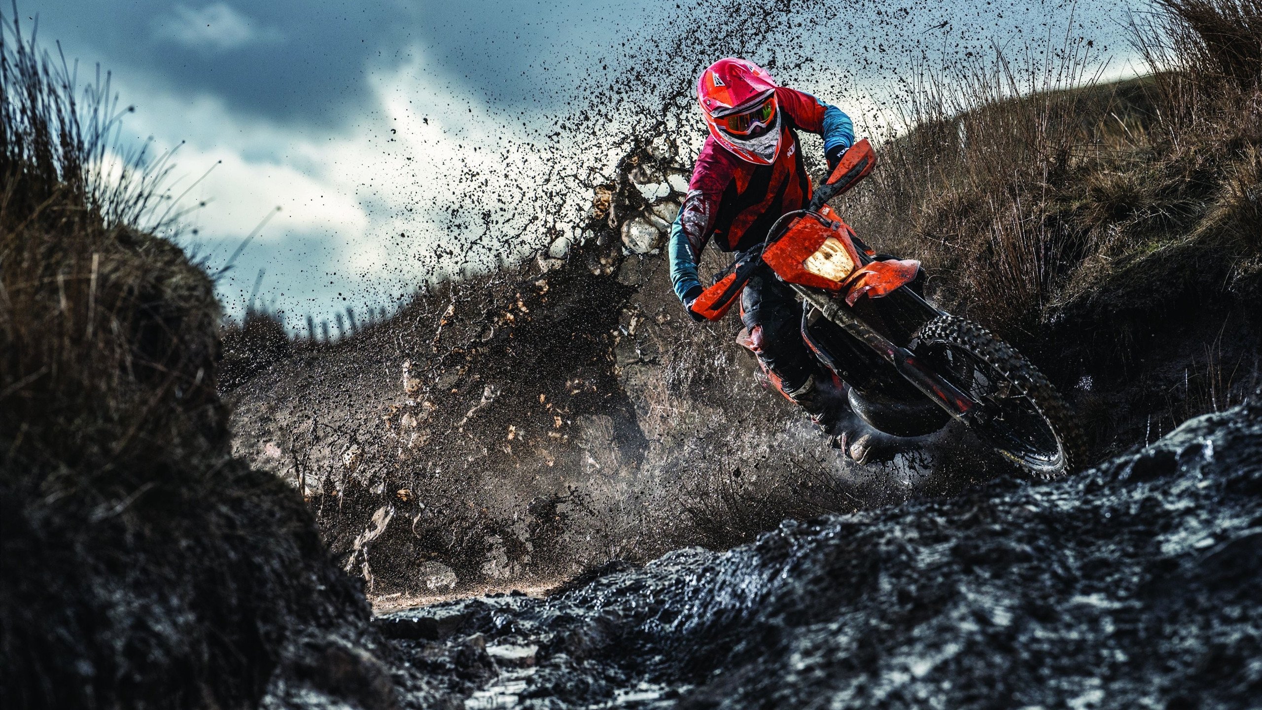 “安赫尔·巴尔博萨的速度与力量结合,成为美洲狮队的新进攻核心”