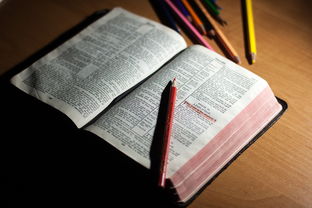 九游下载中心-体育教师能力认证制度在试点城市启动，体育教师资格证认定条件